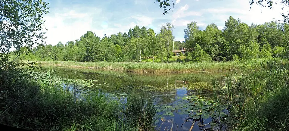 Karptjärn