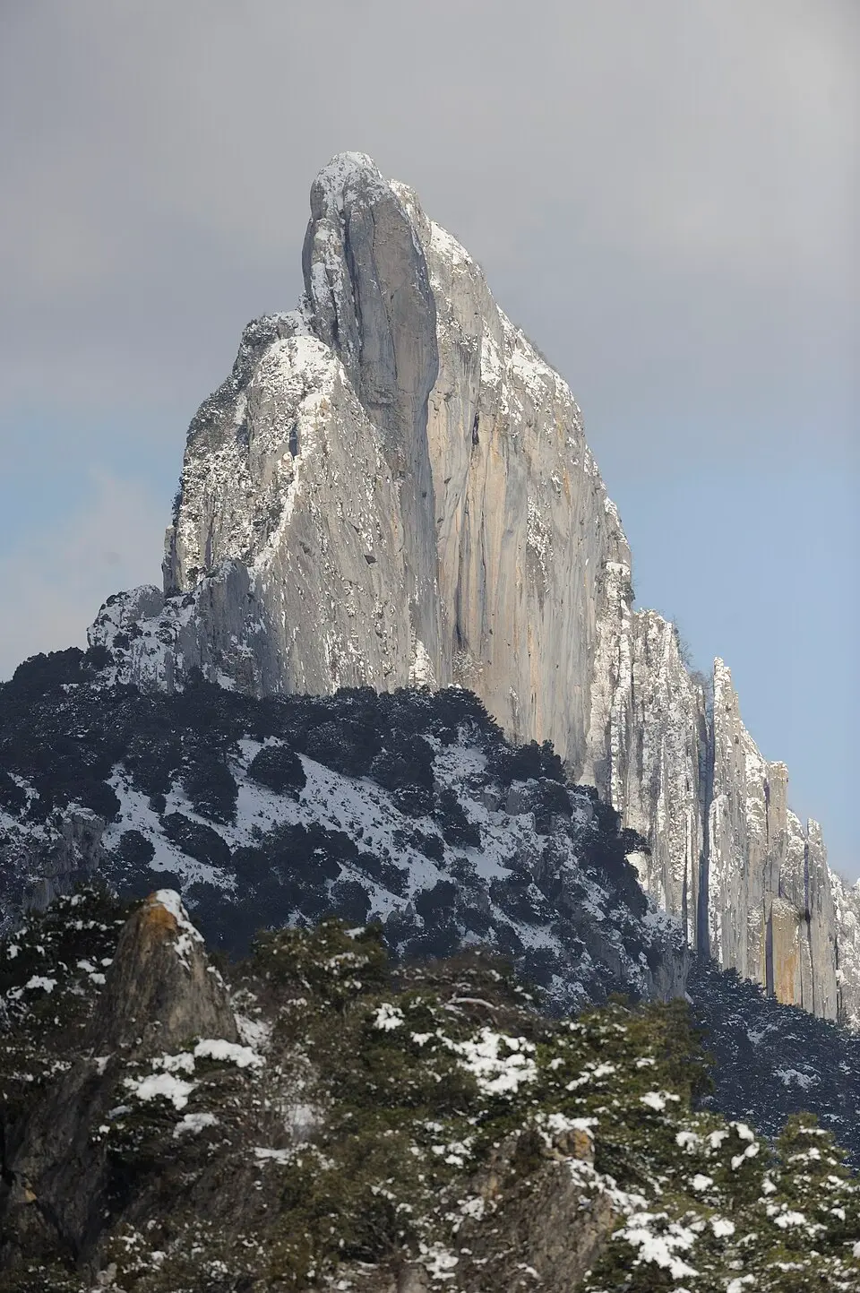 Carrias