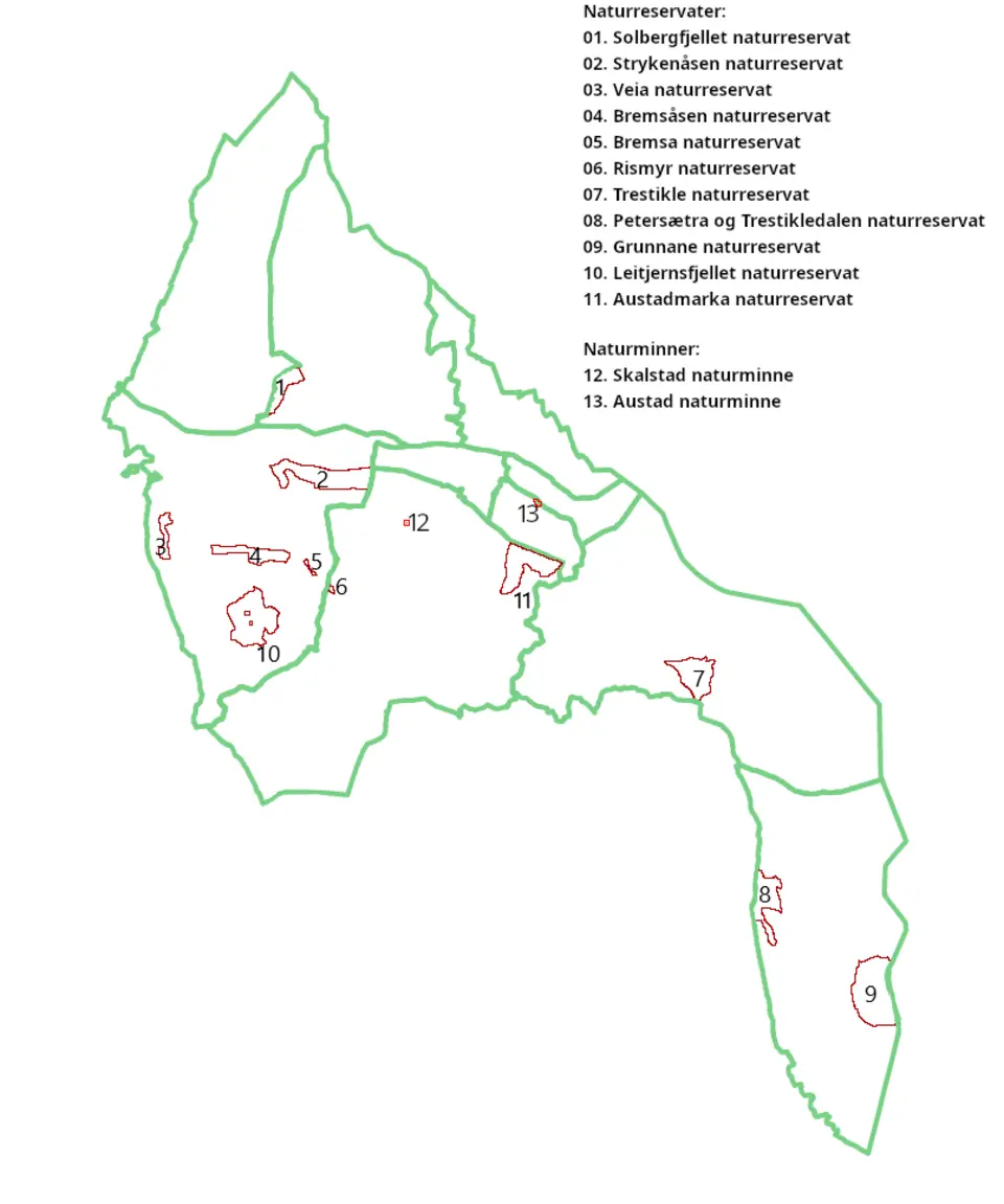 Bremsåsen naturreservat