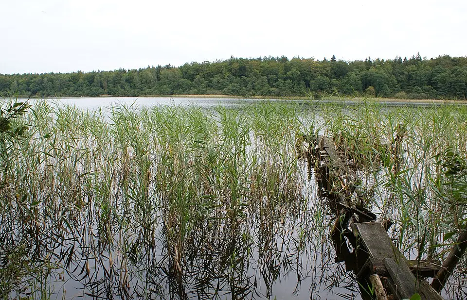 Karwowo