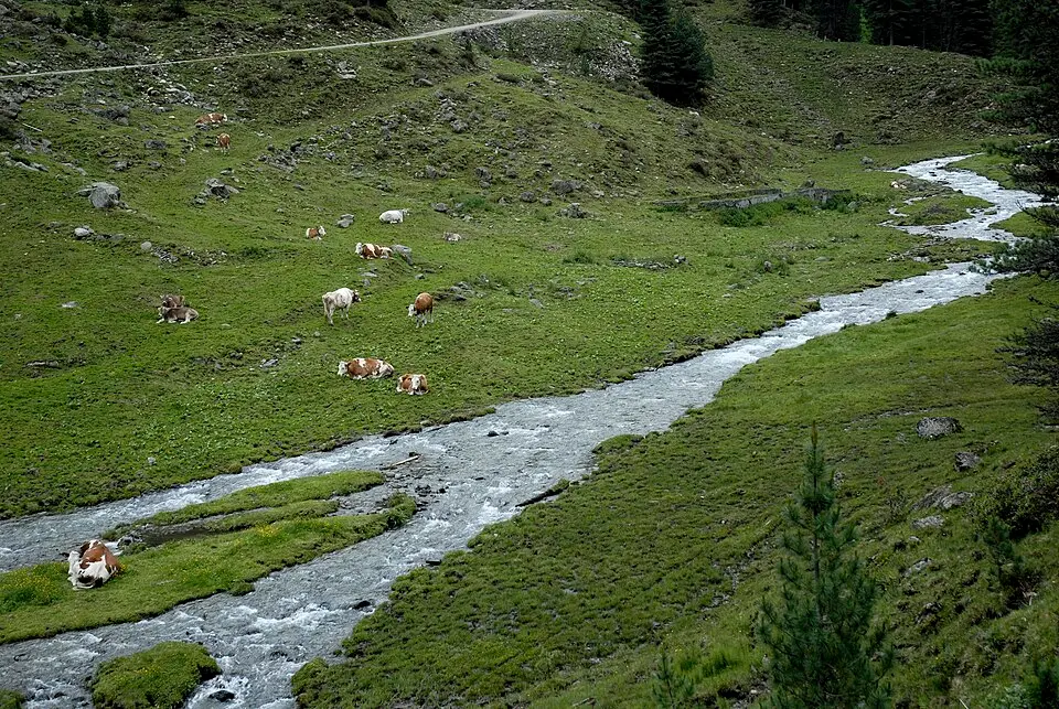 Slika: Haneburger · Public domain Fotscher Bach