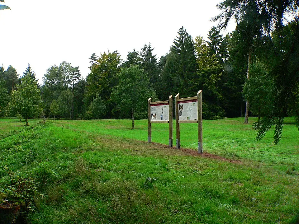 Kastell Würzberg