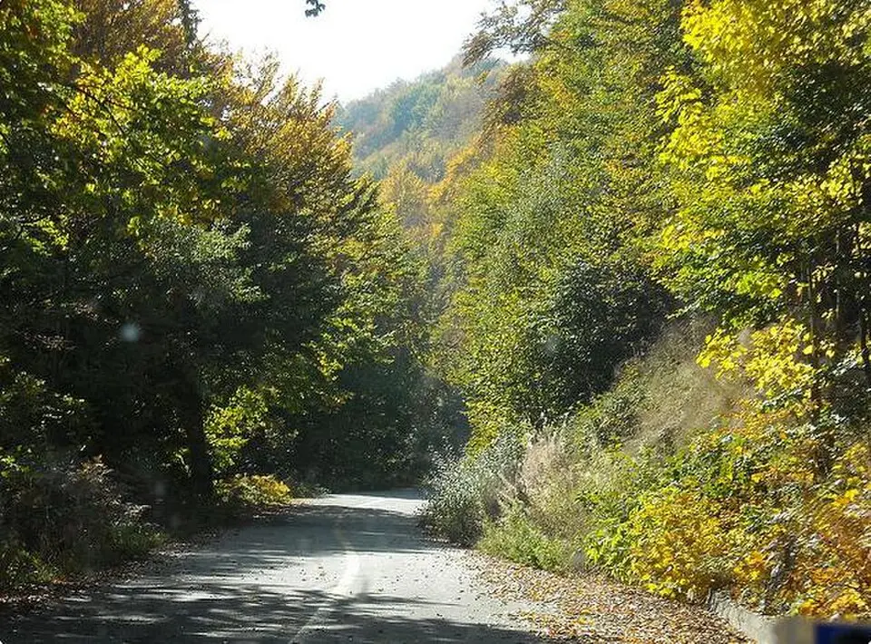 Vítsi
