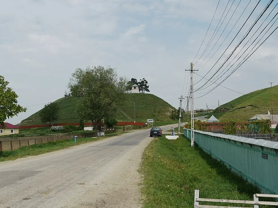 Negri
