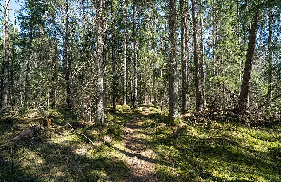 Katrinelunds naturreservat