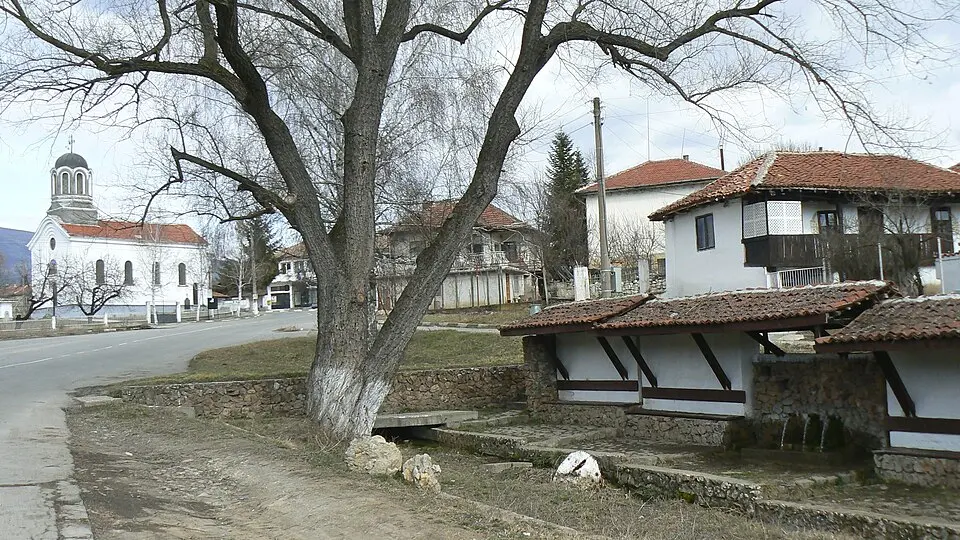Катрище