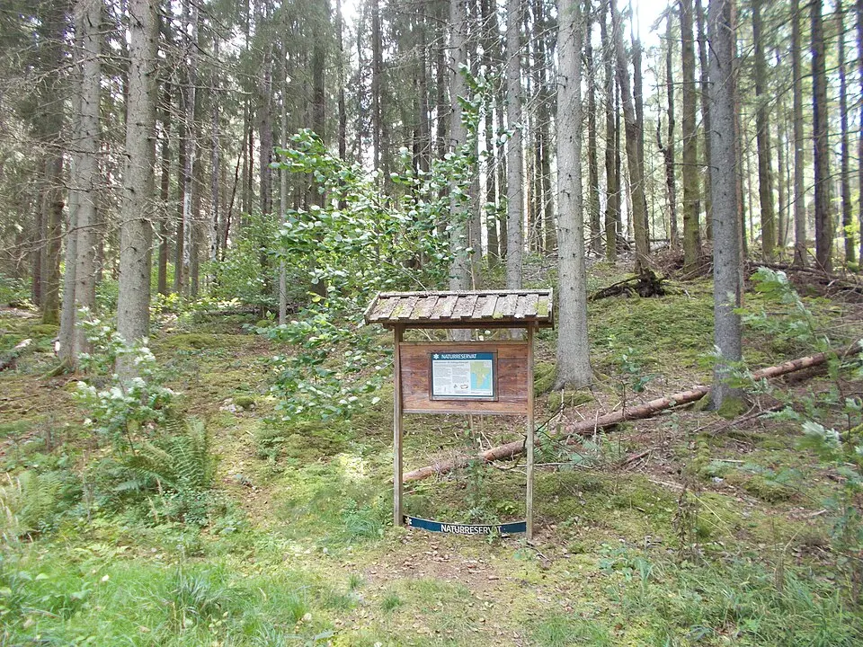 Kattegullsberget
