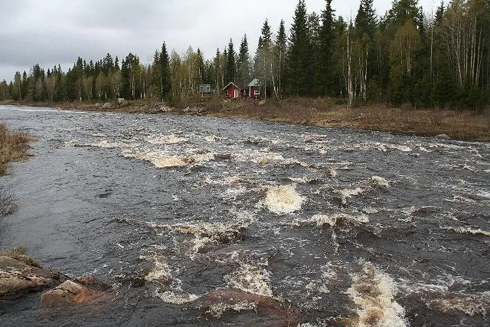 Kuivajoki