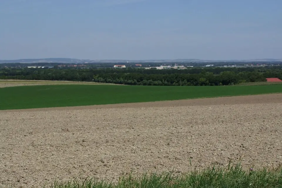Fundzone Tulbingerfeld