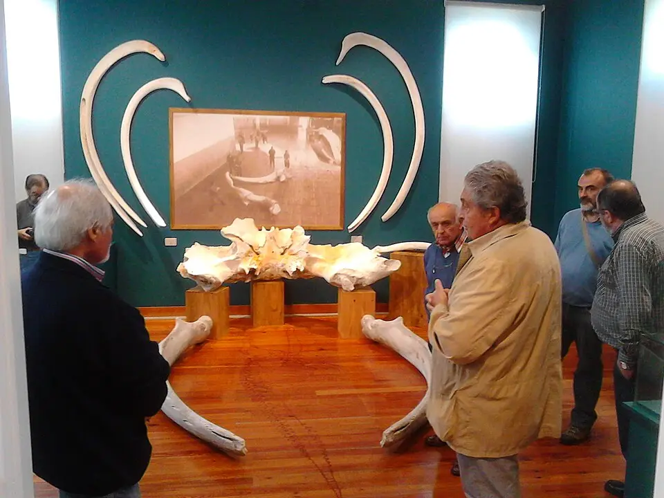 Museo Provincial do Mar