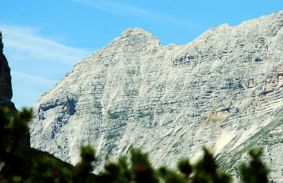 Großer Katzenkopf