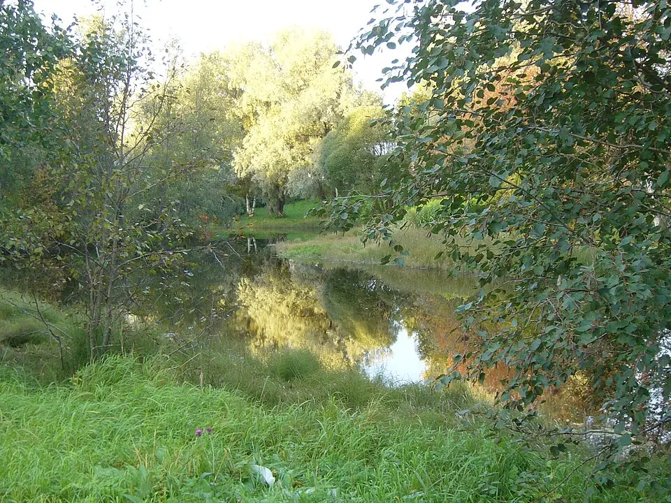 Kauhajoki