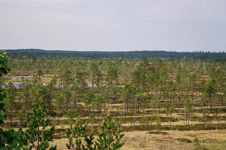 parc national de Kauhaneva-Pohjankangas