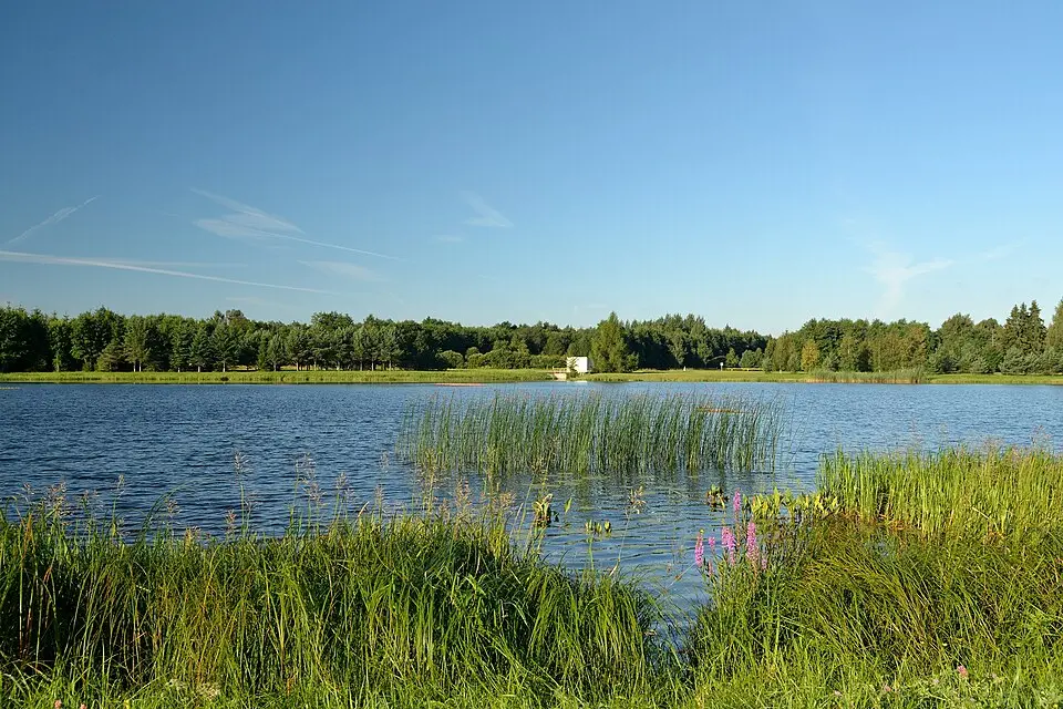 Kaunissaare