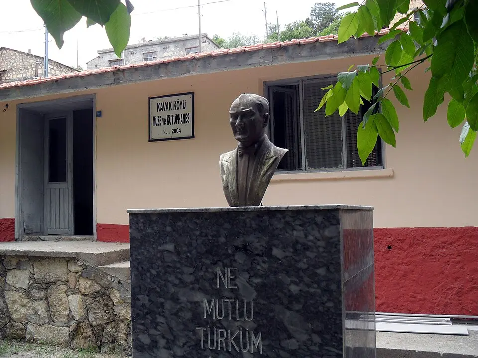 Kavak