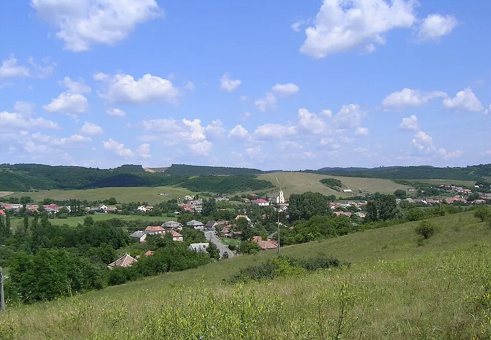 Salgótarjáni járás