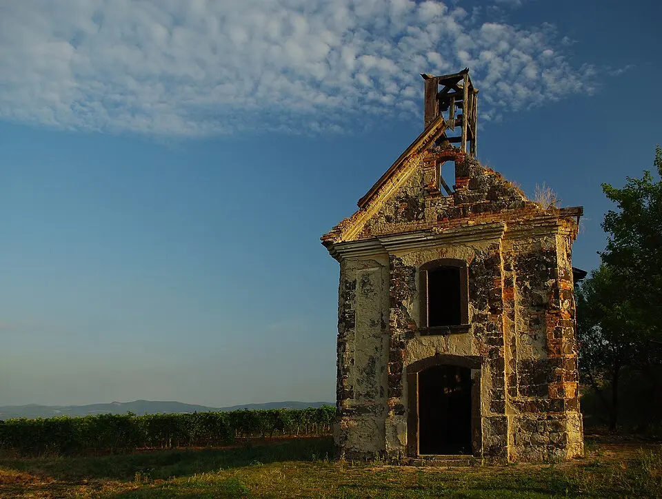 Immagine: jotti · CC BY-SA 2.5 HU Gyöngyöshalász