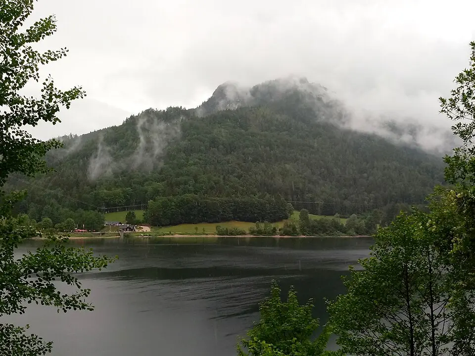 Käferwandl