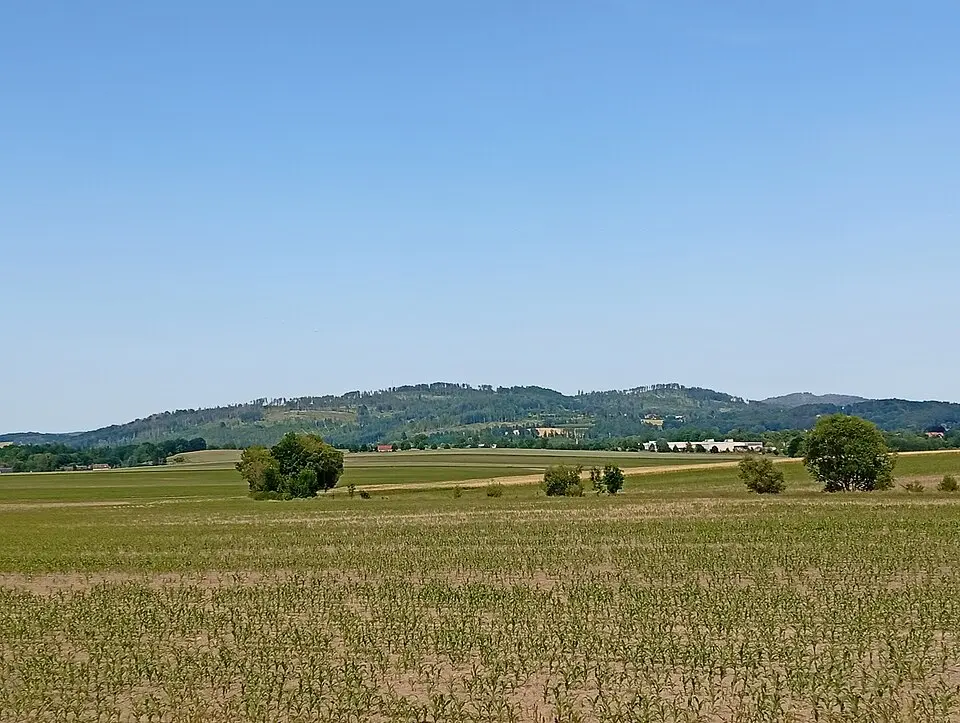 Kälbersteine