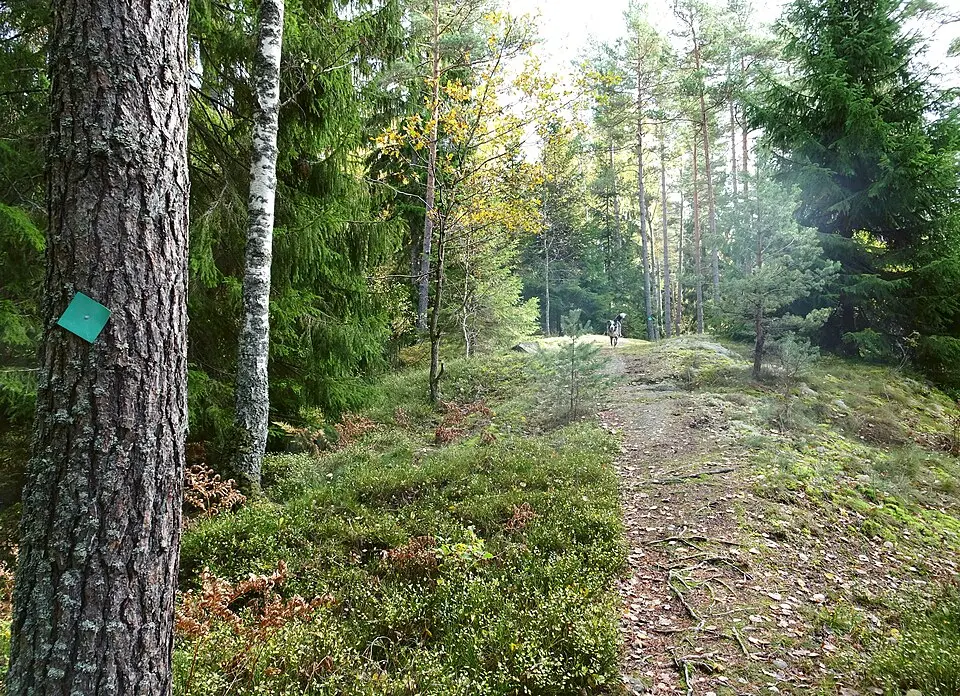 Käringboda naturreservat