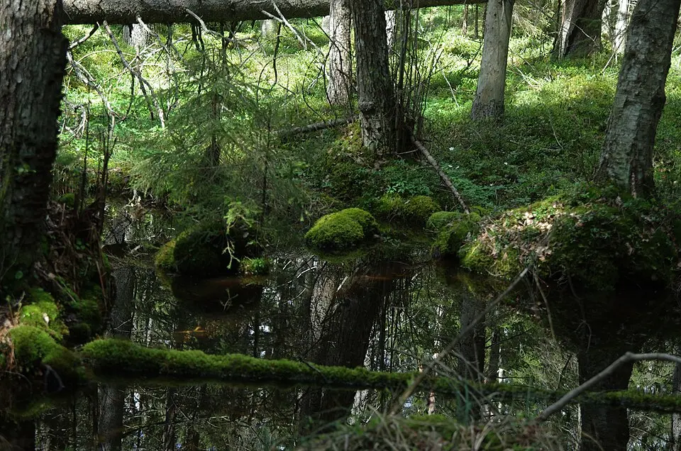 Brännström