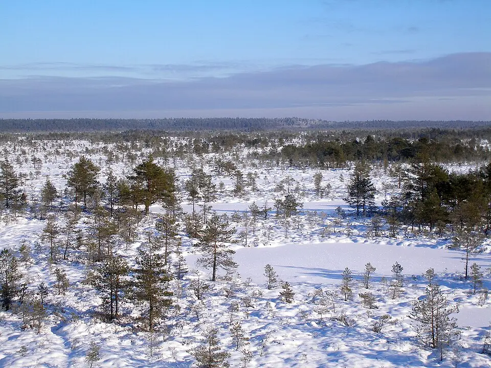 Põhja-Kõrvemaa looduskaitseala