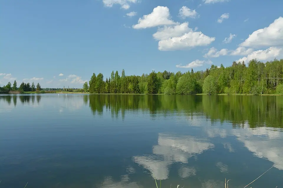 Pajusi