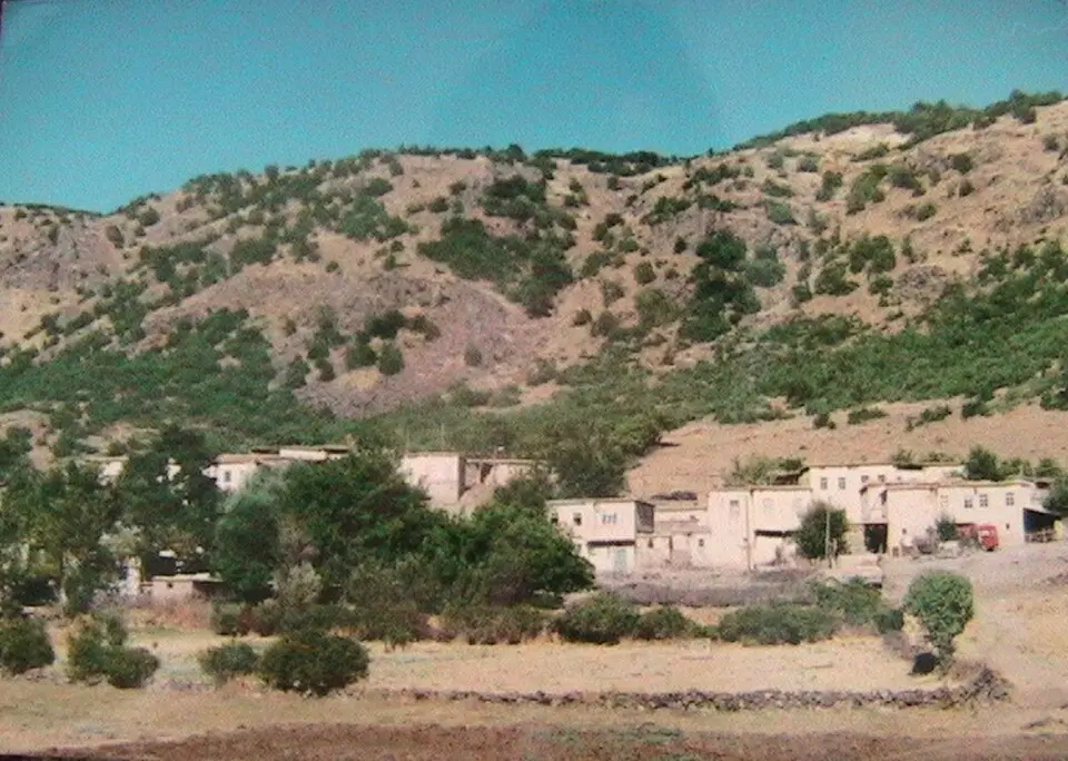 Ormancık
