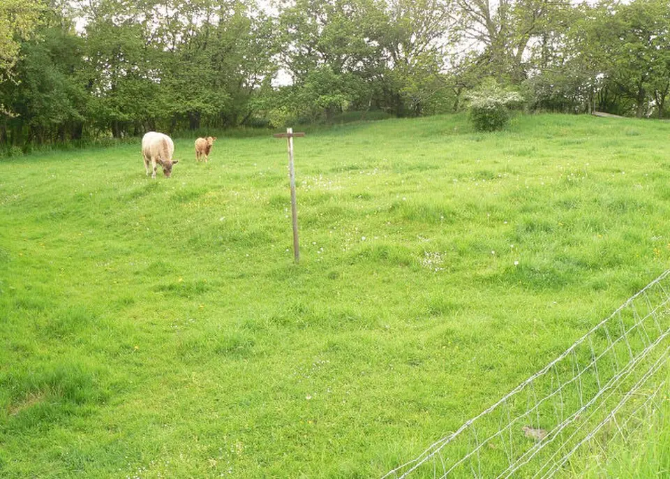 Dahlum (Kaiserpfalz)