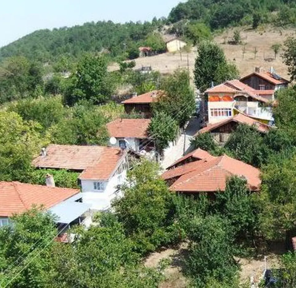 Şenler
