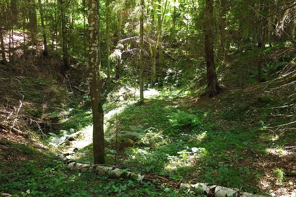 Küdema