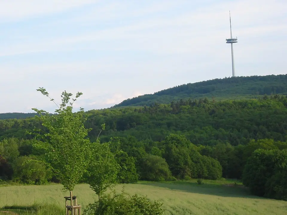 Kühkopf