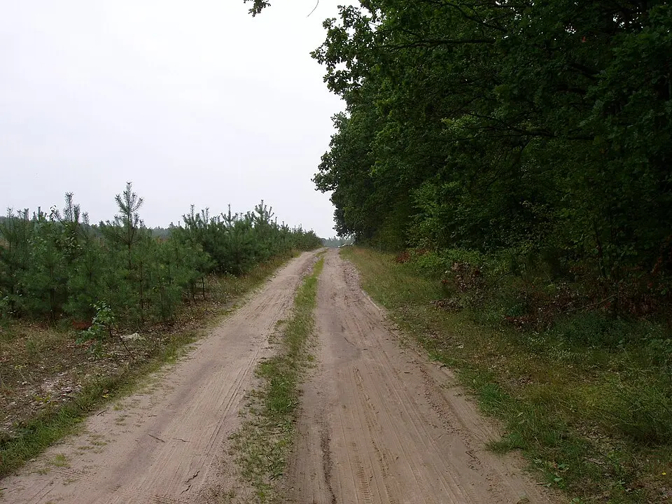 Kępiaste