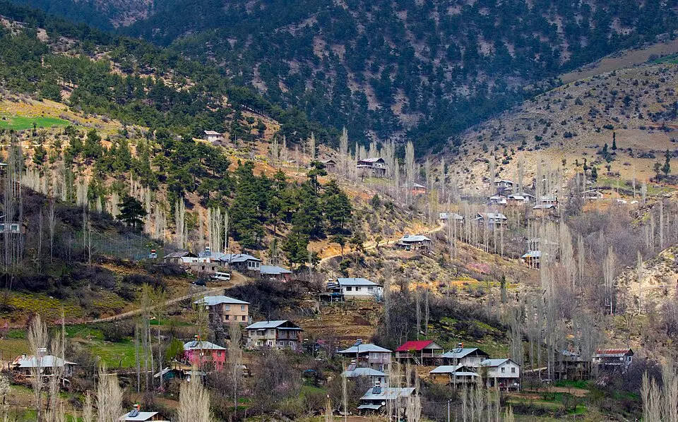 Kızılağaç