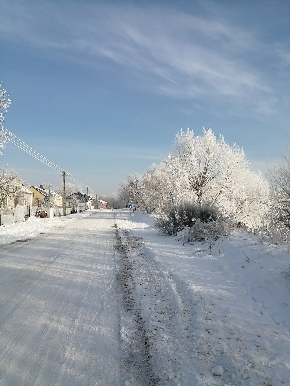 Kłoda