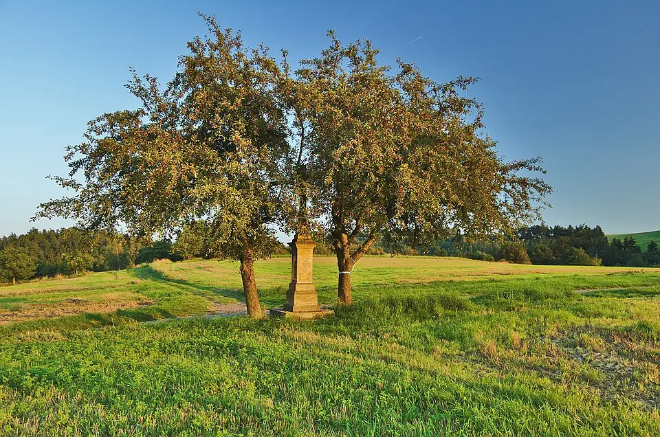 Dvorek