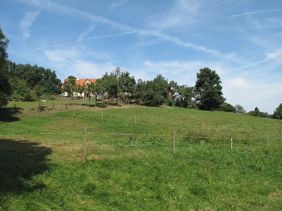 Křivá Ves