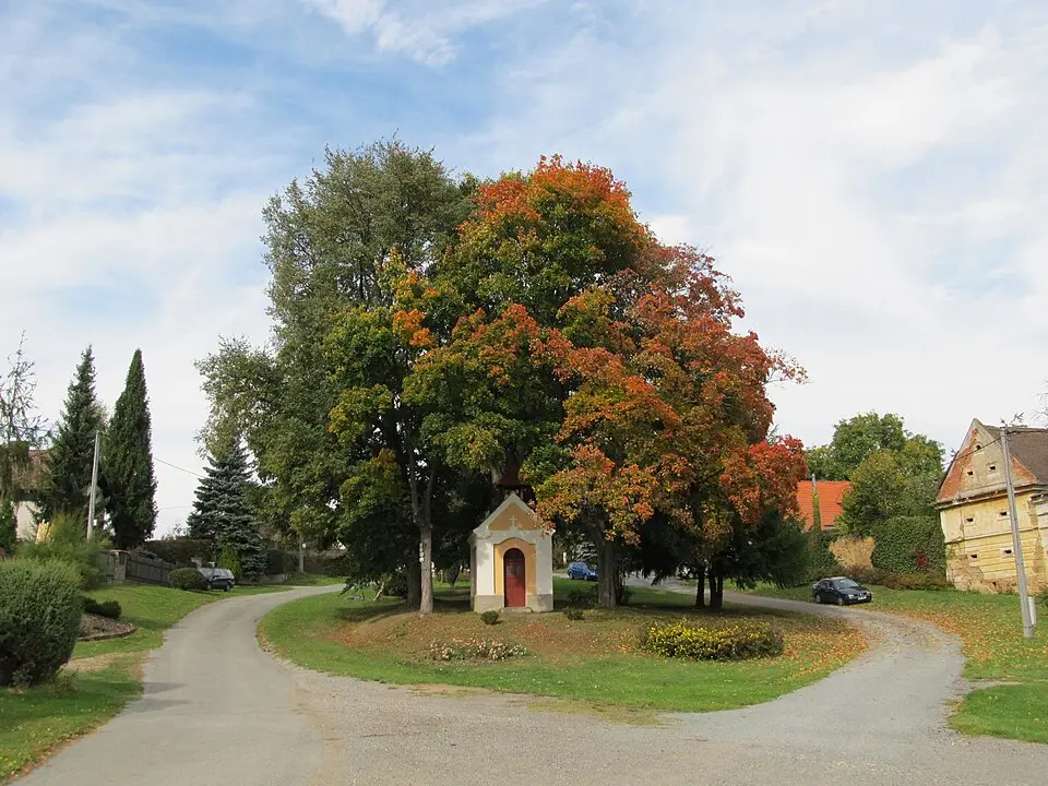 Kůští