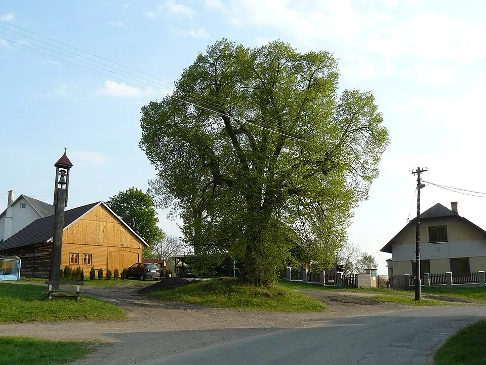 Kdanice