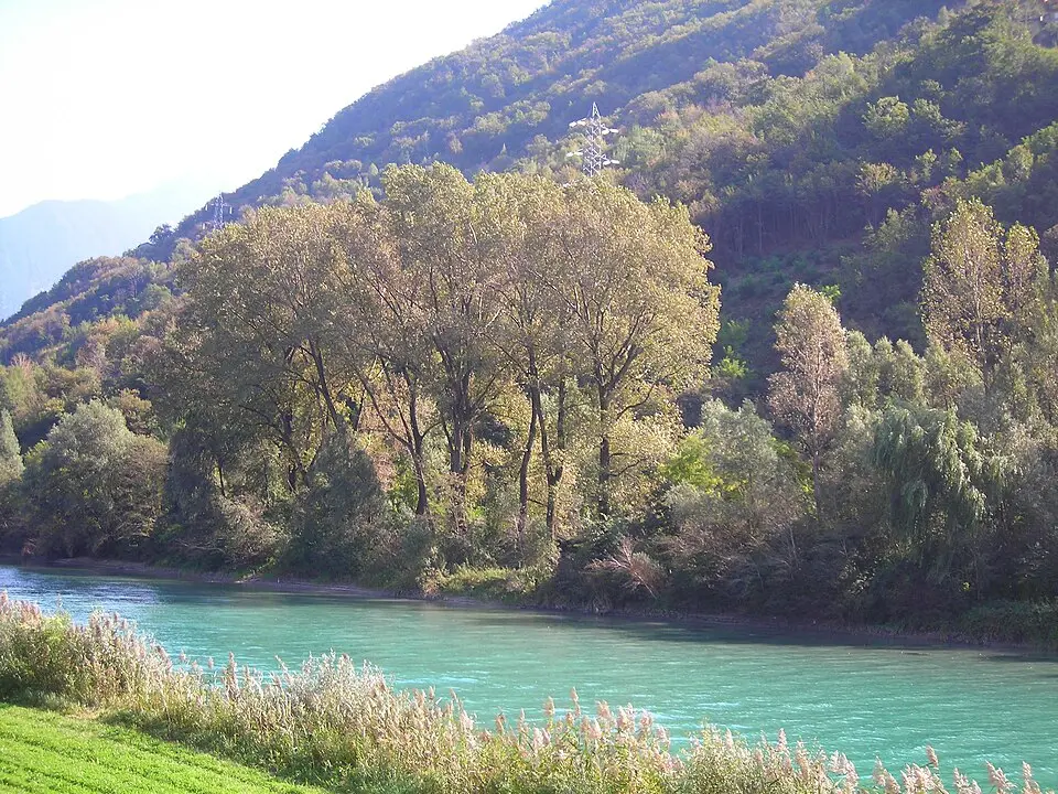 Selvetta