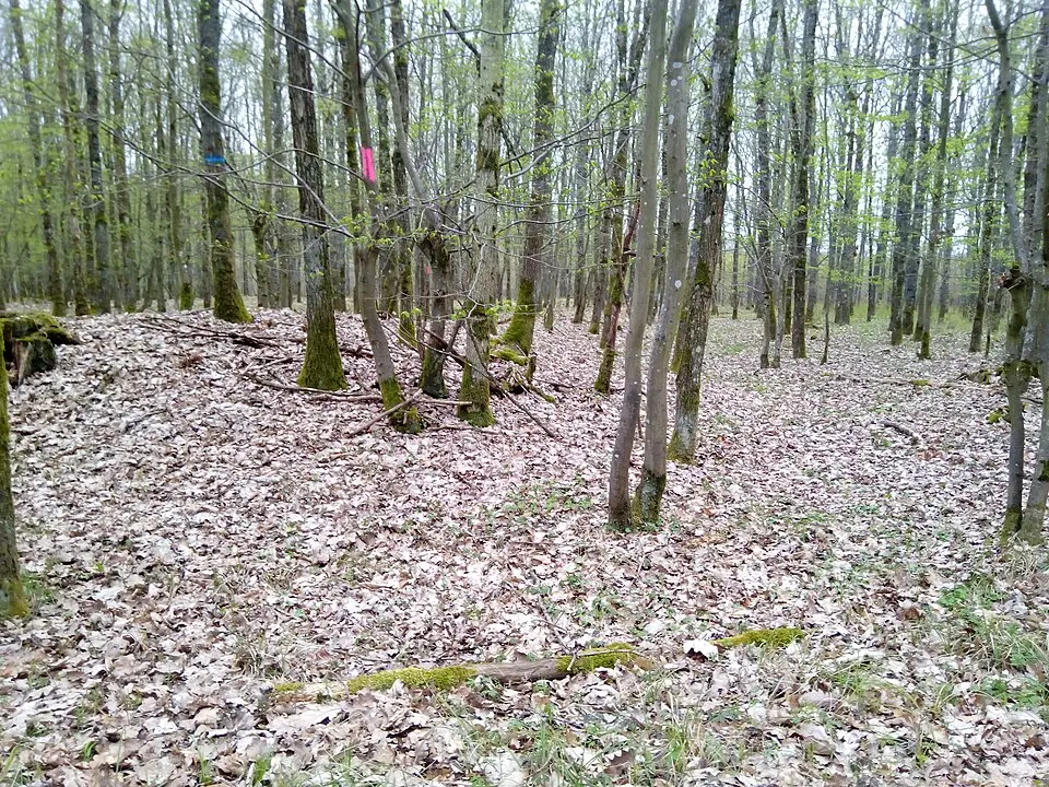 Kleine Keltenschanze (Brehmen)