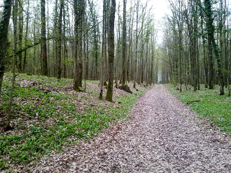 Große Keltenschanze (Brehmen)