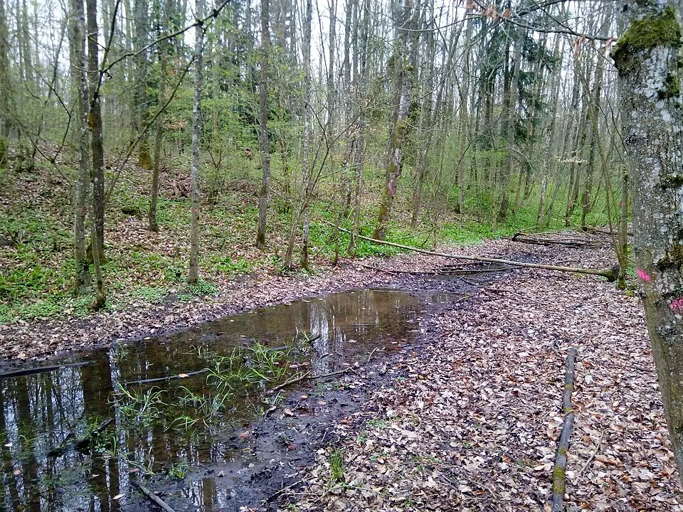 Brehmer Keltenschanzen