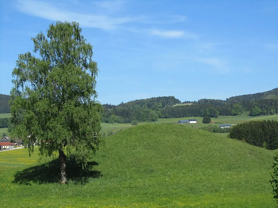Grabhügel südlich von Speck