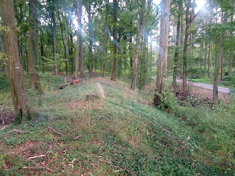 Obrázok: Granpar · CC BY-SA 3.0 Keltische Viereckschanze Bütthard (West)