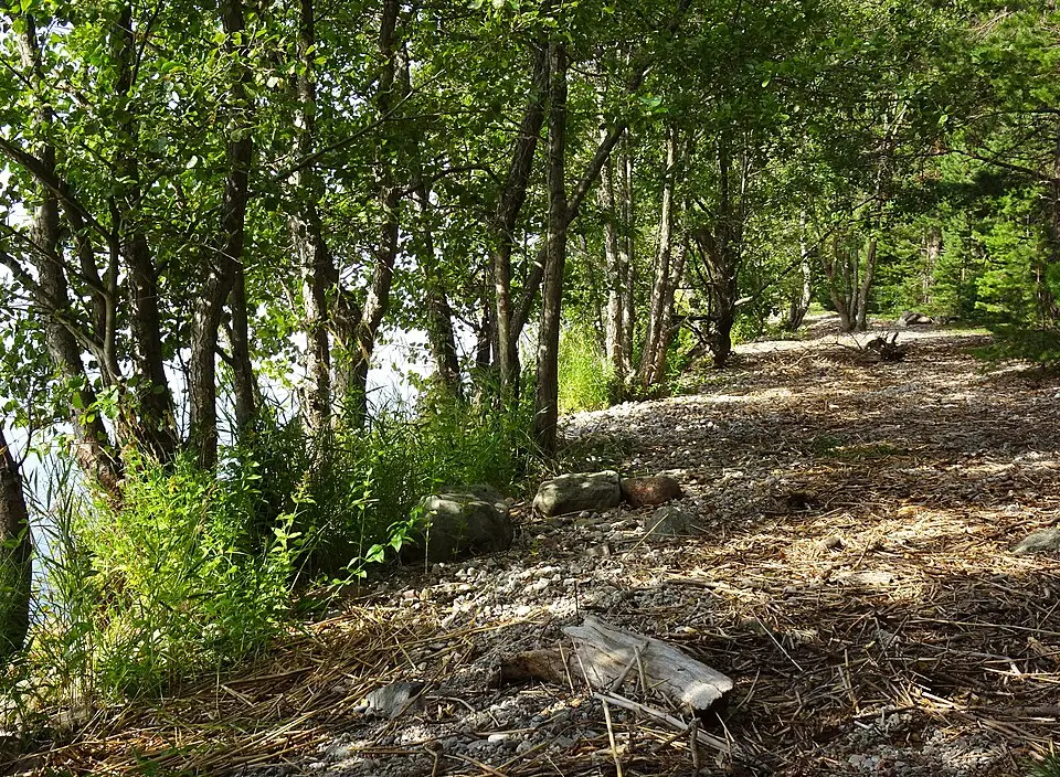 Adelsö-Sättra naturreservat