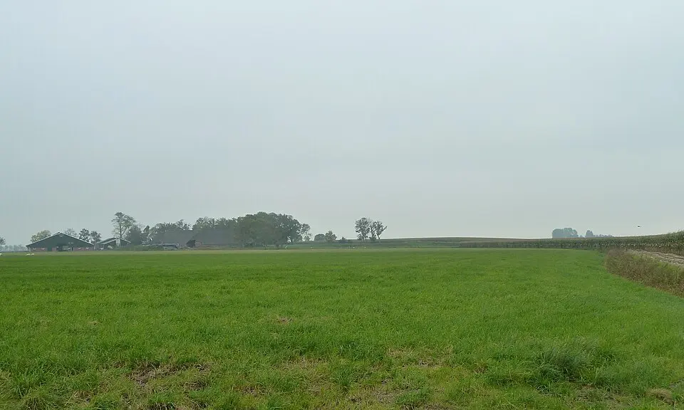 Terrein met een wierde (Kenwerd)