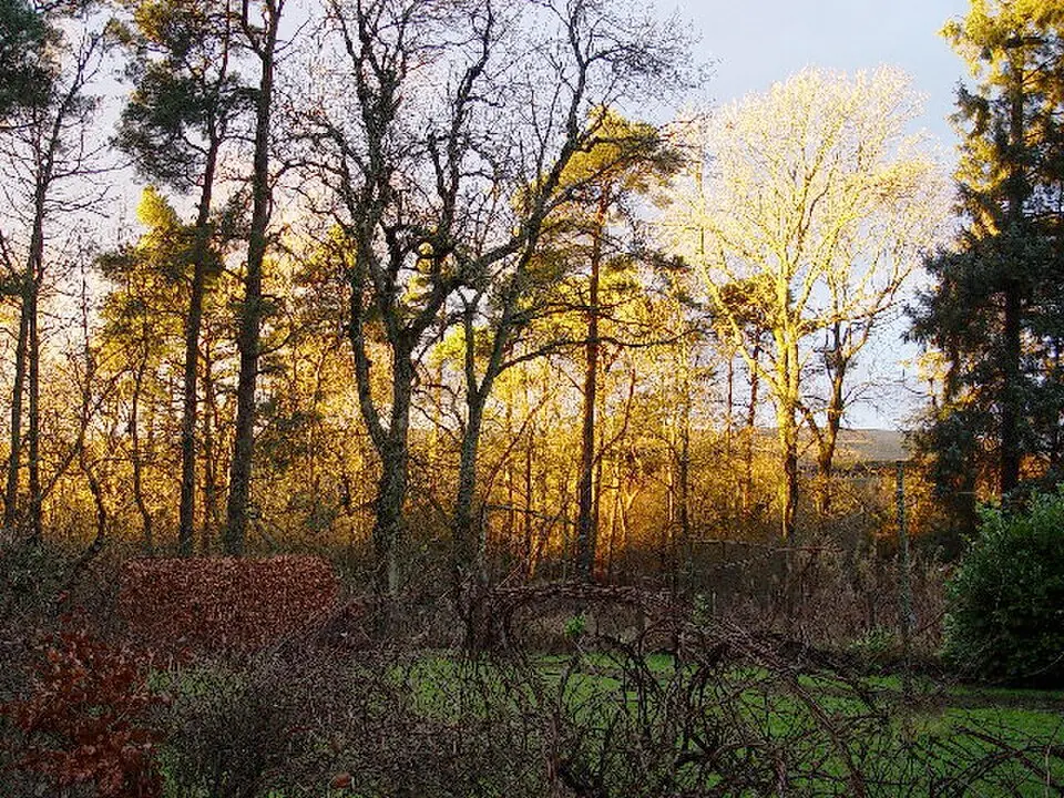 Kershopefoot