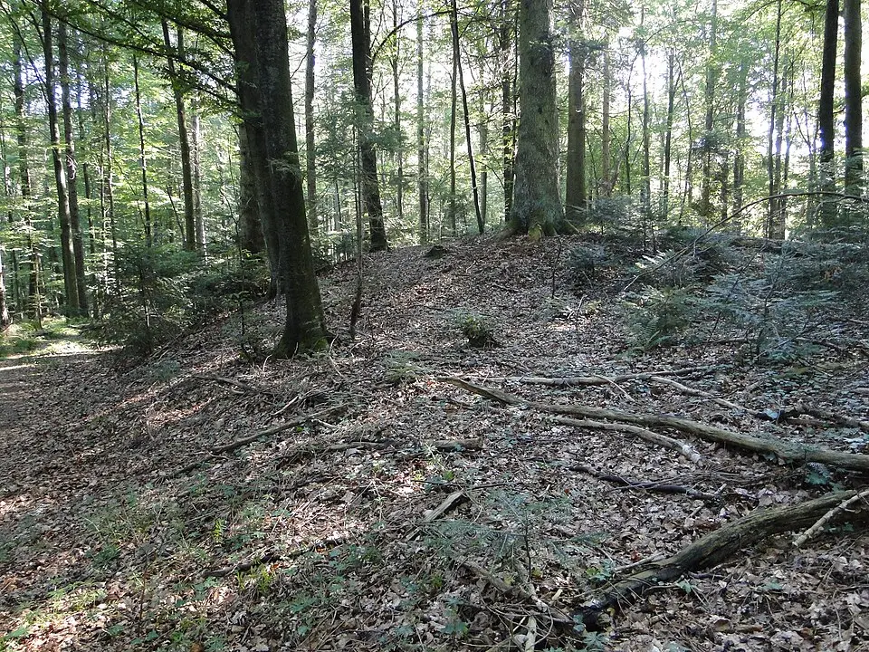 Kép: Pietro11 · CC BY 3.0 Hallstattzeitliche Grabhügelgruppe