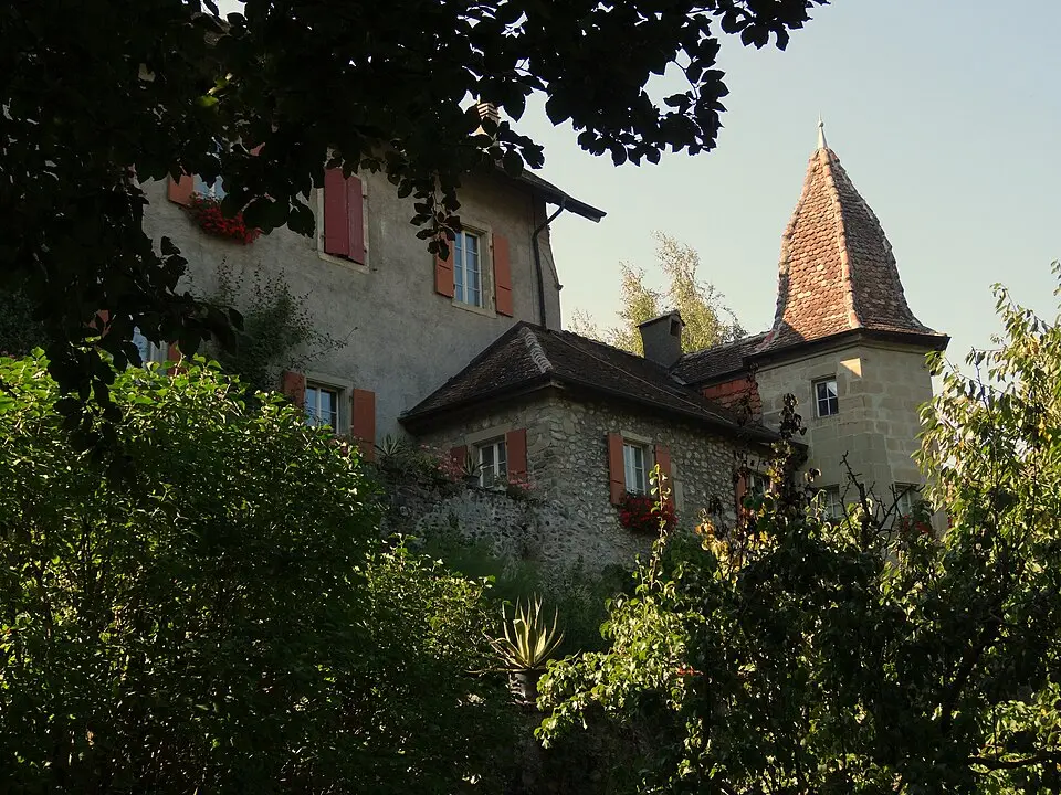 Obrázek: Sinenomine2 · CC BY-SA 3.0 Schloss